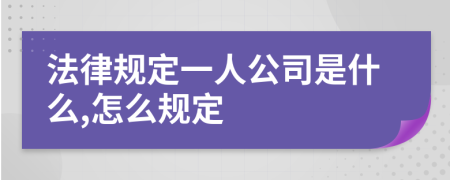 法律规定一人公司是什么,怎么规定