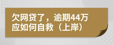 欠网贷了，逾期44万应如何自救（上岸）