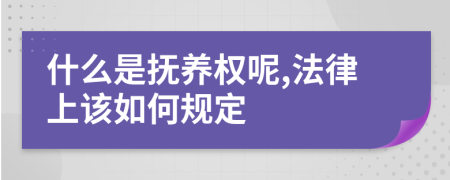 什么是抚养权呢,法律上该如何规定