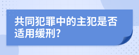 共同犯罪中的主犯是否适用缓刑?