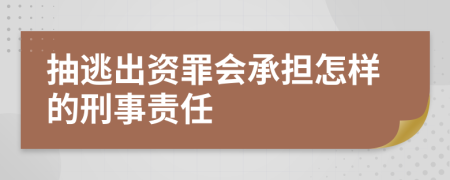 抽逃出资罪会承担怎样的刑事责任