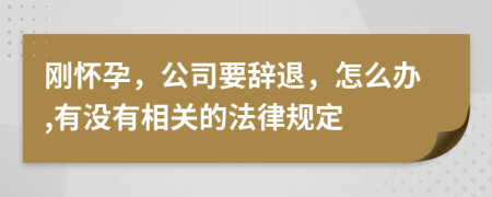 刚怀孕，公司要辞退，怎么办,有没有相关的法律规定