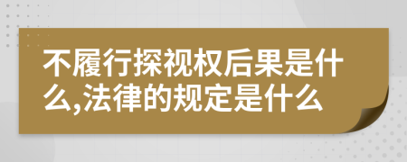 不履行探视权后果是什么,法律的规定是什么