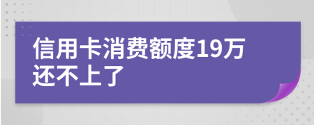 信用卡消费额度19万还不上了