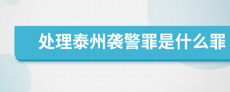 处理泰州袭警罪是什么罪