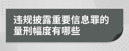 违规披露重要信息罪的量刑幅度有哪些