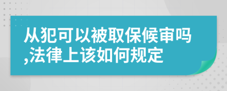 从犯可以被取保候审吗,法律上该如何规定