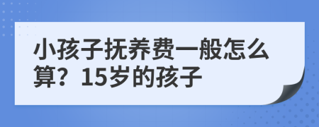 小孩子抚养费一般怎么算？15岁的孩子