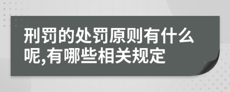 刑罚的处罚原则有什么呢,有哪些相关规定