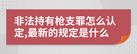 非法持有枪支罪怎么认定,最新的规定是什么