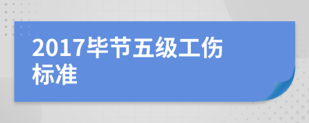 2017毕节五级工伤标准