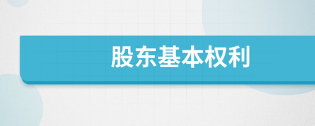 股东基本权利