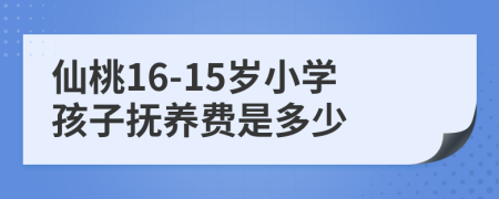 仙桃16-15岁小学孩子抚养费是多少