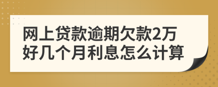 网上贷款逾期欠款2万好几个月利息怎么计算