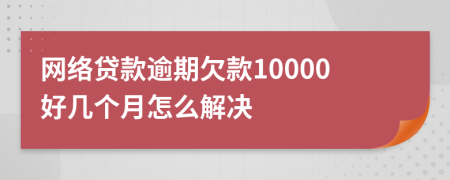 网络贷款逾期欠款10000好几个月怎么解决