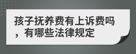 孩子抚养费有上诉费吗，有哪些法律规定