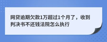网贷逾期欠款1万超过1个月了，收到判决书不还钱法院怎么执行