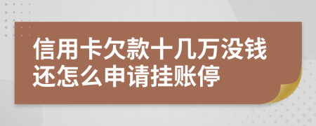 信用卡欠款十几万没钱还怎么申请挂账停