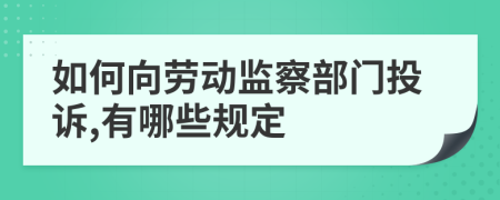 如何向劳动监察部门投诉,有哪些规定