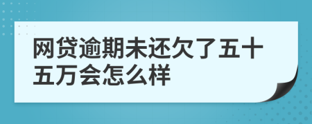 网贷逾期未还欠了五十五万会怎么样