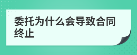 委托为什么会导致合同终止
