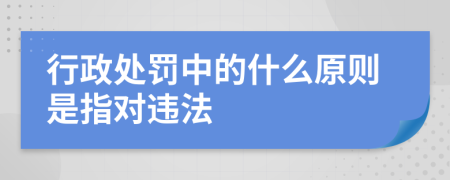 行政处罚中的什么原则是指对违法