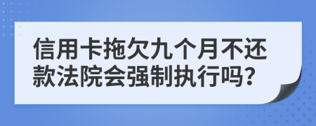 信用卡拖欠九个月不还款法院会强制执行吗？