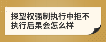 探望权强制执行中拒不执行后果会怎么样