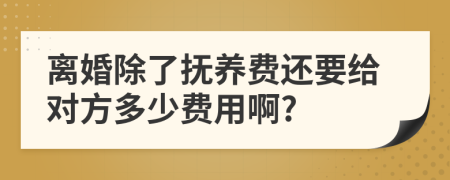 离婚除了抚养费还要给对方多少费用啊?