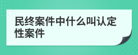 民终案件中什么叫认定性案件