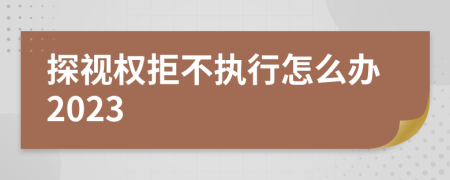 探视权拒不执行怎么办2023