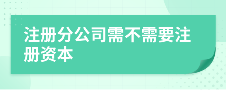 注册分公司需不需要注册资本