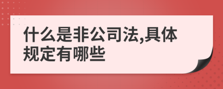 什么是非公司法,具体规定有哪些