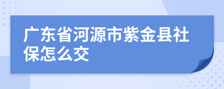 广东省河源市紫金县社保怎么交