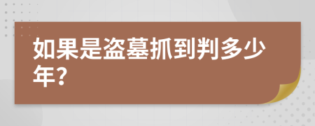 如果是盗墓抓到判多少年？