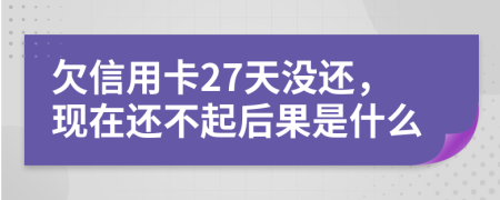 欠信用卡27天没还，现在还不起后果是什么