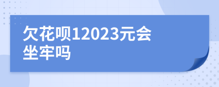欠花呗12023元会坐牢吗