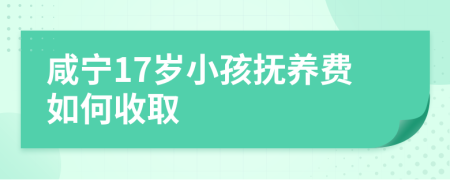 咸宁17岁小孩抚养费如何收取