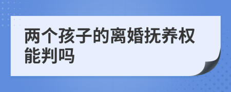 两个孩子的离婚抚养权能判吗