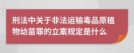 刑法中关于非法运输毒品原植物幼苗罪的立案规定是什么