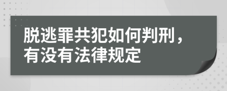 脱逃罪共犯如何判刑，有没有法律规定