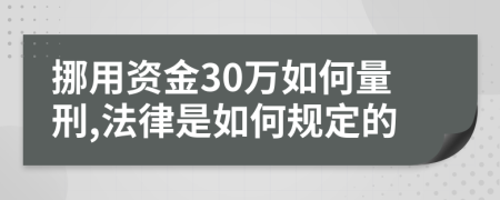 挪用资金30万如何量刑,法律是如何规定的