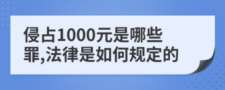 侵占1000元是哪些罪,法律是如何规定的