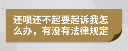 还呗还不起要起诉我怎么办，有没有法律规定