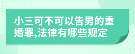 小三可不可以告男的重婚罪,法律有哪些规定