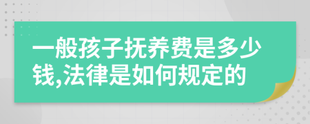 一般孩子抚养费是多少钱,法律是如何规定的