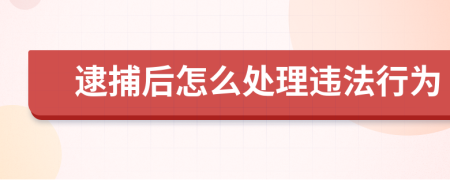 逮捕后怎么处理违法行为