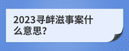 2023寻衅滋事案什么意思？