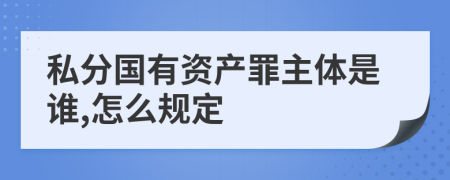 私分国有资产罪主体是谁,怎么规定