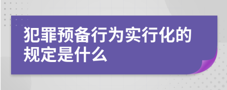 犯罪预备行为实行化的规定是什么